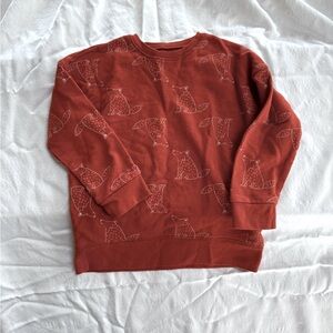 4T toddler pullover sweatshirt wolf print - terracotta colored sweater for kids